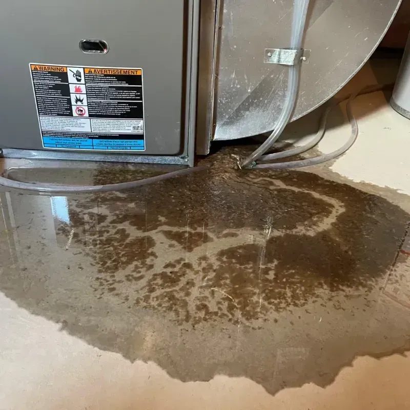 Appliance Leak Cleanup in Blossom, TX